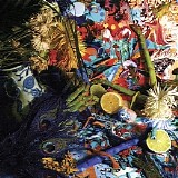 Animal Collective - Summertime Clothes [Single]