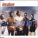Incubus - Are You In? [Single]