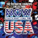 Various artists - Now That's What I Call The USA