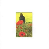The Alarm - In The Poppy Fields: Bond, No. 5 (Coming Home)