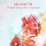 Various artists - Amalgamation
