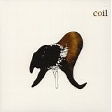 Coil - Black Antlers