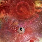Animals as Leaders - The Joy of Motion