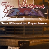 Gin Blossoms - New Miserable Experience by A&M (1992-01-01)