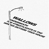 Wallows - Underneath The Streetlights In The Winter Outside Your House