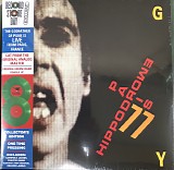 Iggy Pop - Hippodrome - Paris 77