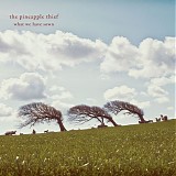 The Pineapple Thief - What We Have Sown (Remixed & Remastered)