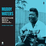 Muddy Waters - Sings "Big Bill"