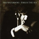 The Waterboys - This Is The Sea (Expanded)