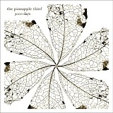 The Pineapple Thief - 3000 Days