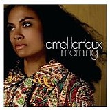 Amel Larrieux - Morning