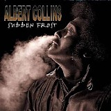 Albert Collins And The Icebreakers - Sudden Frost
