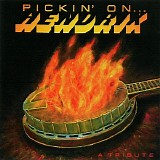 Various artists - Pickin' On Hendrix - A Tribute