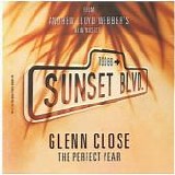 Glenn Close - The Perfect Year