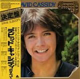 David Cassidy and The Partridge Family - Golden Double Series