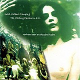 Acid Mothers Temple & The Melting Paraiso U.F.O. - Univers zen ou de zéro à zéro