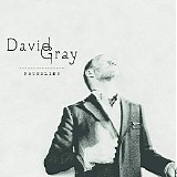 David Gray - Foundling [Deluxe]