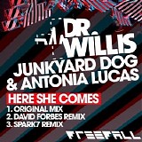 Dr. Willis & Junkyard Dog - Here She Comes