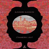 Blackbird Blackbird - Strawberry Light