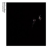 Pet Shop Boys - Fundamental [Further Listening 2005-2007]