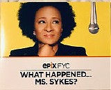 Wanda Sykes - What Happened... Ms.Sykes
