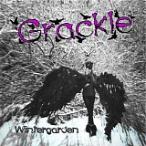 Grackle - Wintergarden