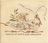 The American Analog Set - Songs Of Hurt And Healing