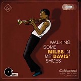 Various Artists - The Soul Preacher - Walking Some Miles in Mr. Davis's Shoes