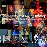 Various Artists - Chicago Blues A Living History