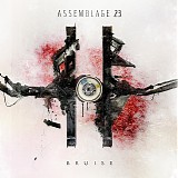 Assemblage 23 - Bruise