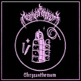 Mother Moon - Chrysanthemum