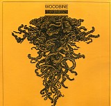 Woodbine - Roots
