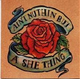 Various artists - Ain't Nuthin' But A She Thing