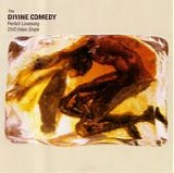 Divine Comedy, The - Perfect Lovesong