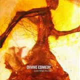 Divine Comedy, The - Love What You Do