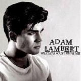 Adam Lambert - Whataya Want From Me