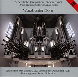 Stefan Schmidt & Frauenschola des WÃ¼rzburger Doms - Orgelimprovisationen Ã¼ber gregorianische ChorÃ¤le der Adventszeit