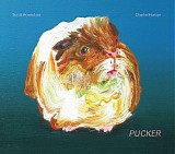 Hunter, Charlie (Charlie Hunter) & Scott Amendola - Pucker (Bonus Version)