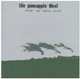 Pineapple Thief, The - What We Have Sown