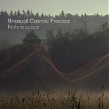 Unusual Cosmic Process - Nature Pulsar (EP)