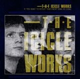 Icicle Works, The - If You Want To Defeat Your Enemy Sing His Song