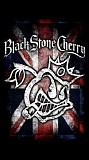 Black Stone Cherry - Live At Sin City, Swansea, Wales