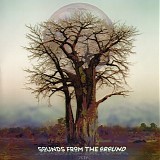 Sounds From The Ground - Kin