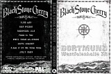 Black Stone Cherry - Live At Westalenhalle 3A, Dortmund, Germany