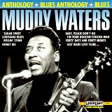 Muddy Waters - Blues Anthology