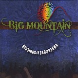Big Mountain - Versions Undercover