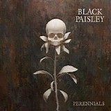Black Paisley - Perennials