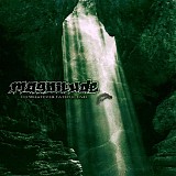 Magnitude - To Whatever Fateful End