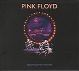 Pink Floyd - Delicate Sound Of Thunder (Remixed)