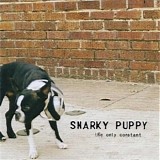 Snarky Puppy - The Only Constant